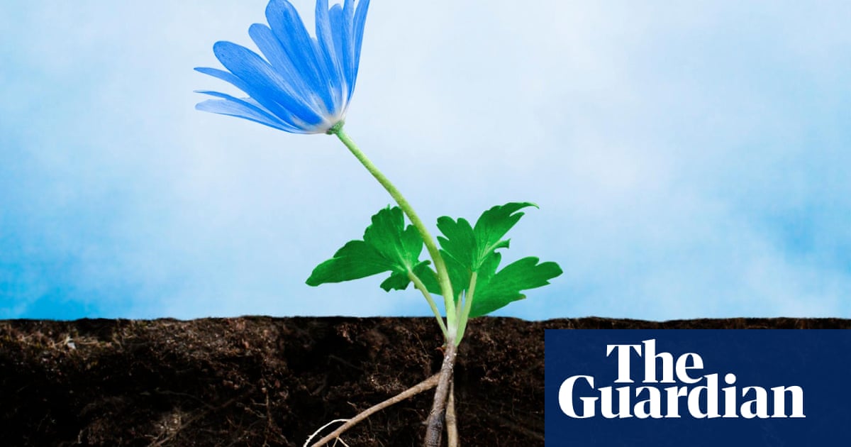 How To Move A Plant In Flower If You Must Alys Fowler Life