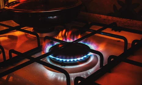 Gas stove pollution: will air purifiers or even plants make your