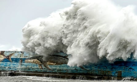 Large wave over wall with sealife depicted on it including a whale