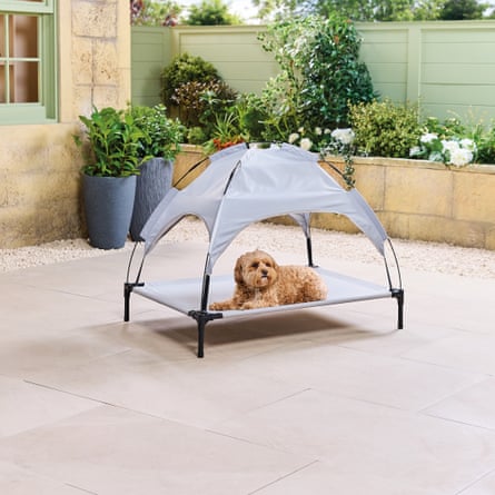 Aldi pet sunshade bed