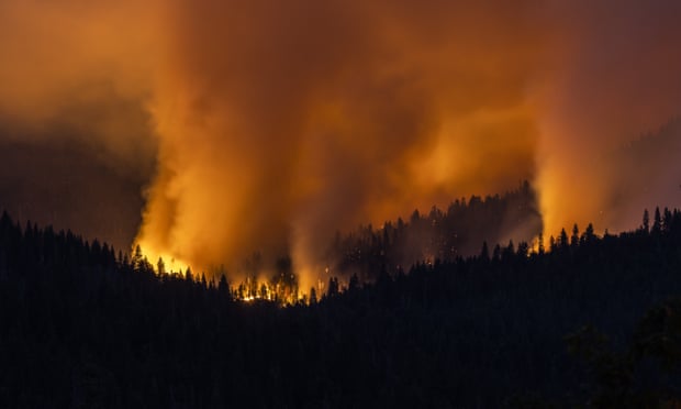 The Washburn fire burns on a hillside in Yosemite national park on 9 July.