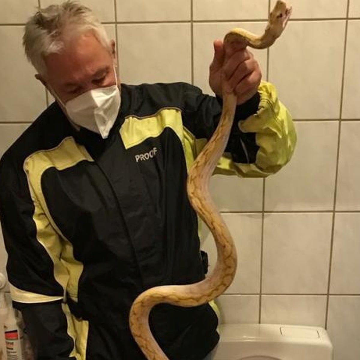 Reticulated Python Bite