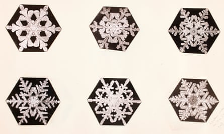 Snowflake Bentley images