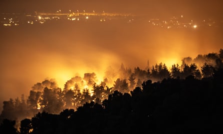 The tops of a forest of trees are silhouetted black in front of an yellow-orange smokey blaze.
