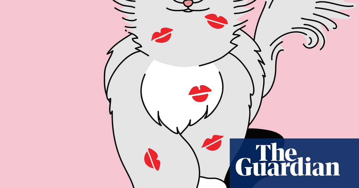 You be the judge: should my partner stop trying to kiss me after kissing the cat?