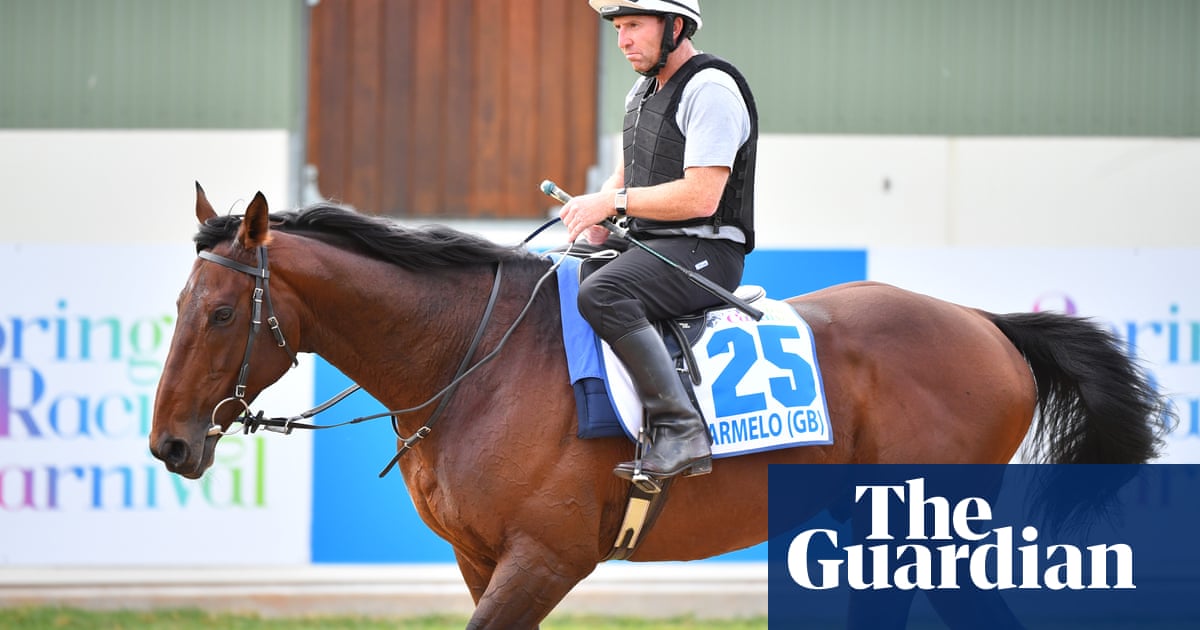 Trainer to appeal after vets withdraw Marmelo from Melbourne Cup