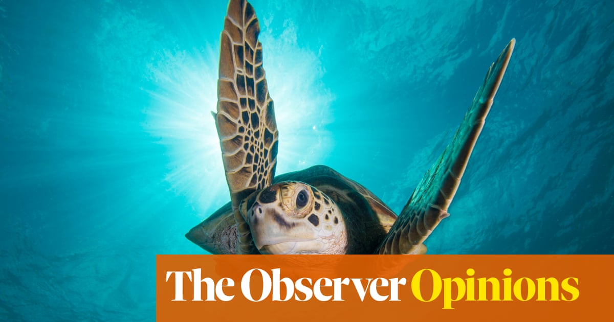 4282.jpg?width=1200&height=630&quality=8