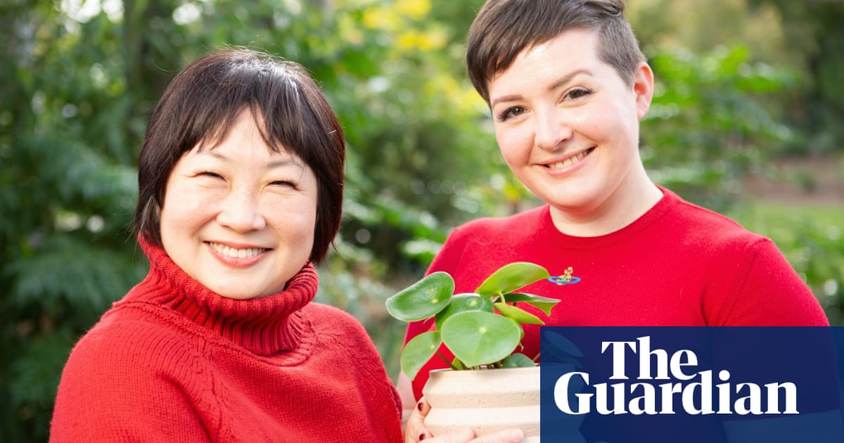 Seed funding: Melbourne startup raises $9m for mental wellness game based on tending houseplants