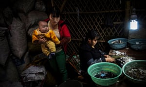E-waste recycler in China.