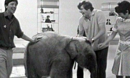 poopers and bloopers the greatest tv fails television the guardian poopers and bloopers the greatest tv fails television the guardian