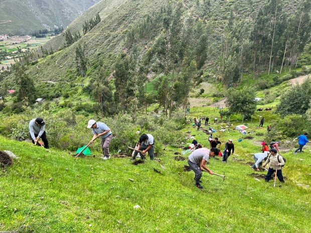 About 20 people at work on steep hillside