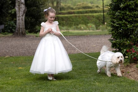 Ella walks the ring-bearer, Toto, during Jodie Haydon and Australia prime minister Anthony Albanese’s wedding