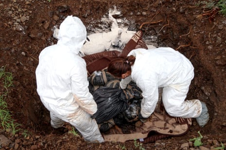 How dead pigs are helping in the search for missing victims of Mexico's drug wars | Forensic science | The Guardian