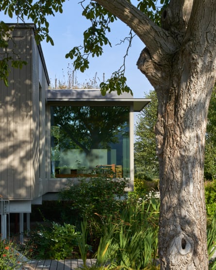 Let the light flood in: wall-height windows open on to the garden.
