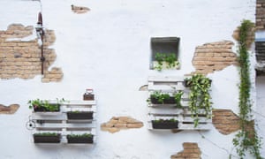 Vertical garden made from pallets