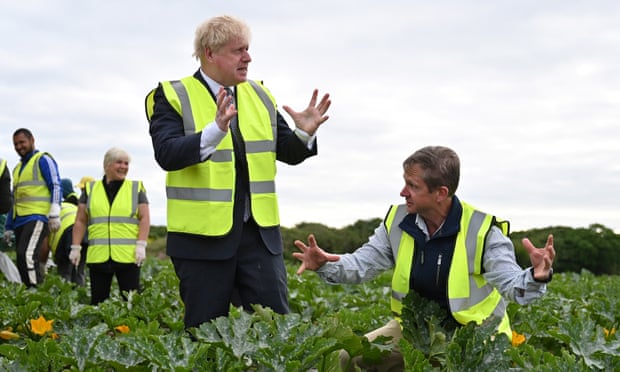 Boris Johnson on a visit to a farm in Hayle, Cornwall, on 13 June
