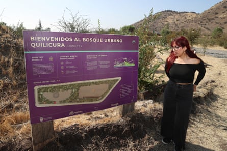 A woman stands on sandy ground surrounded by scrubby trees next to a sign in Spanish with a Google logo, explaining that the area is an urban woodland