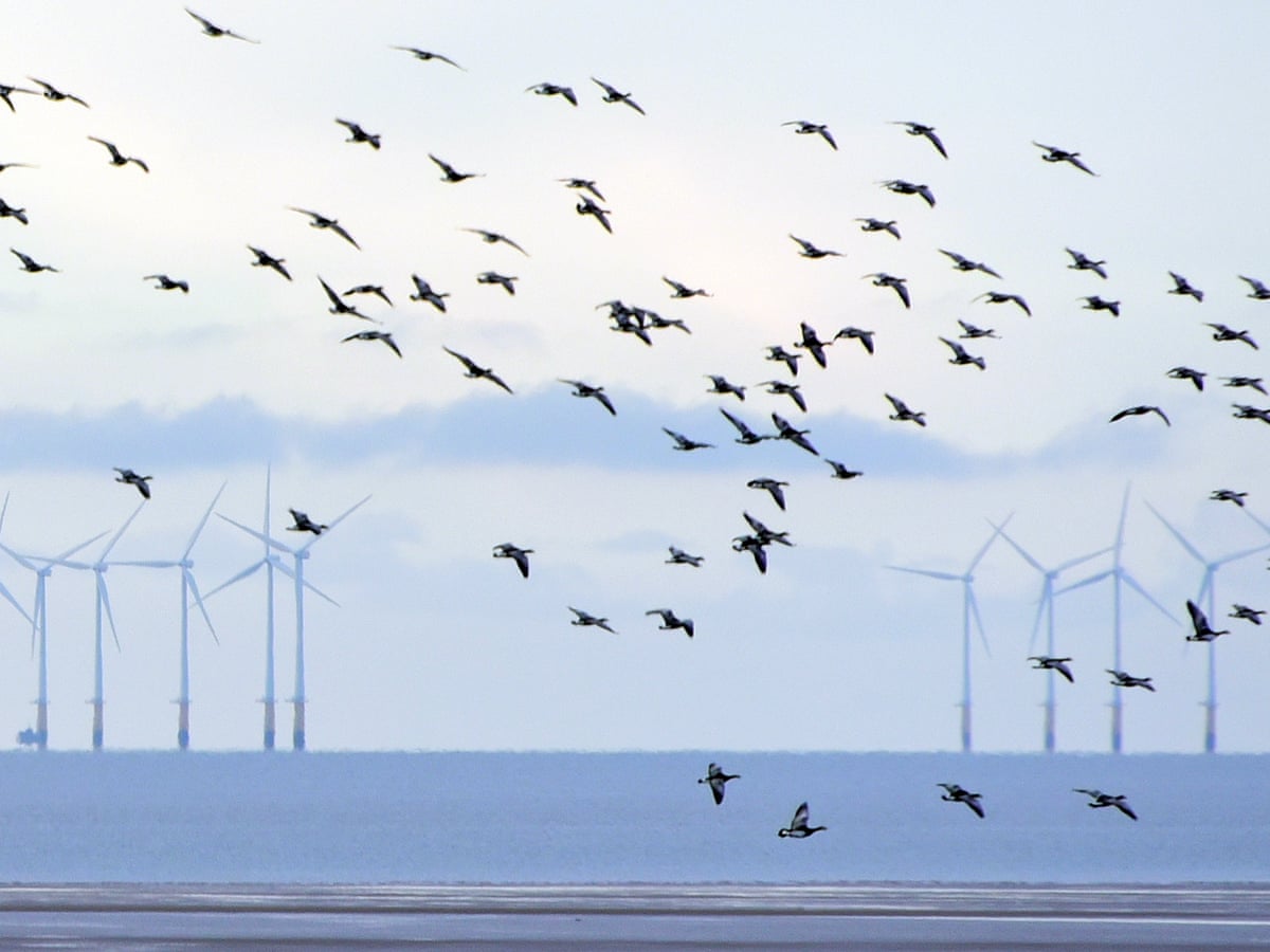 How To Create A Wind Turbine In Little Alchemy 2 لم يسبق له مثيل الصور Tier3 Xyz