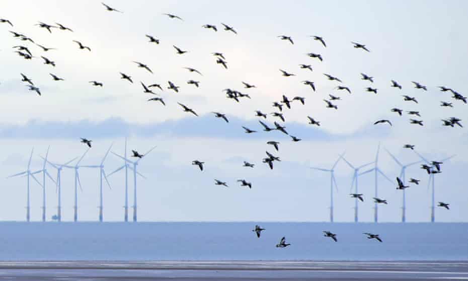 Robin Rigg, Dumfries, Scotland’s first offshore windfarm.