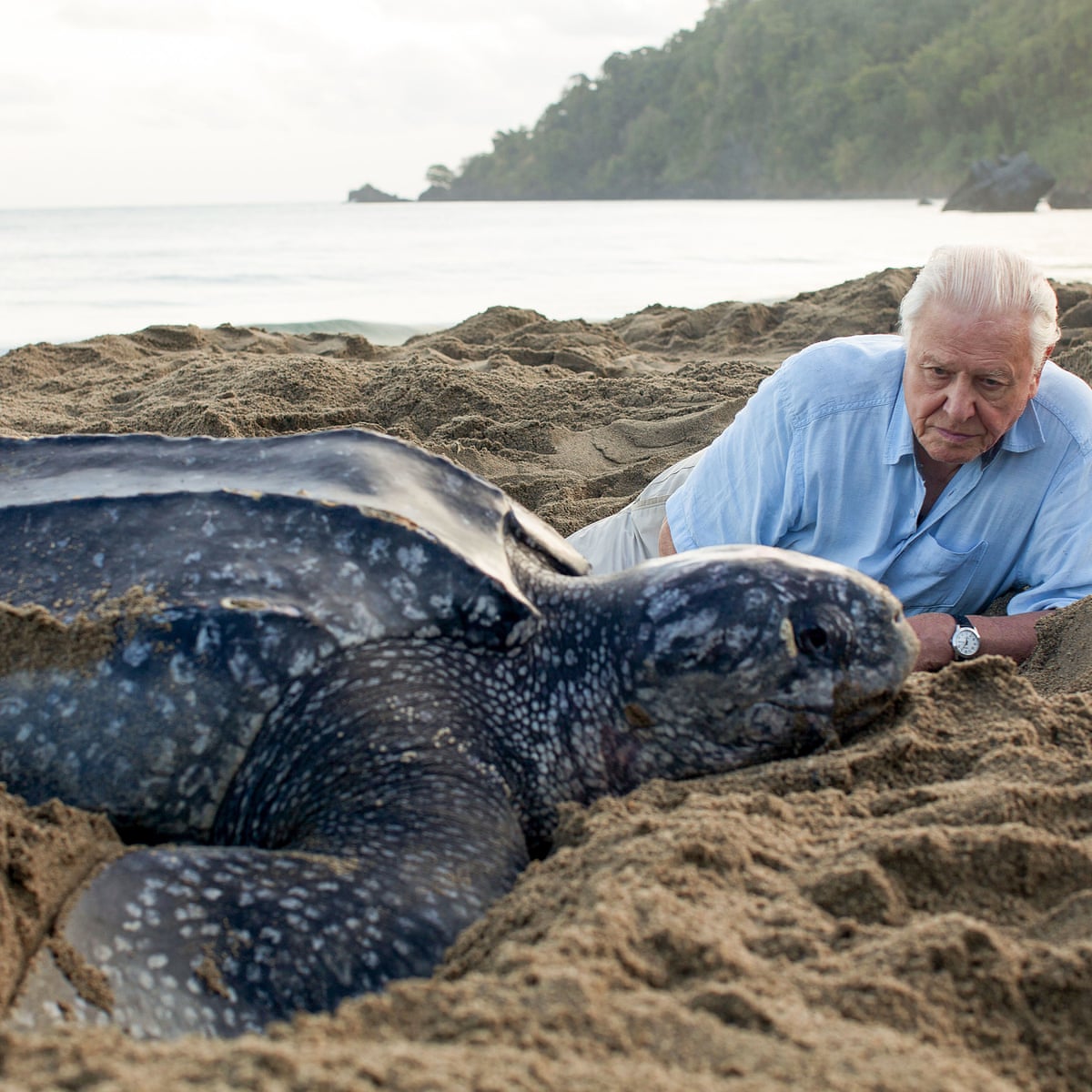 What David Attenborough Should Have Said At The End Of Blue Planet Patrick Barkham The Guardian What David Attenborough Should Have Said At The End Of Blue Planet Patrick Barkham The Guardian