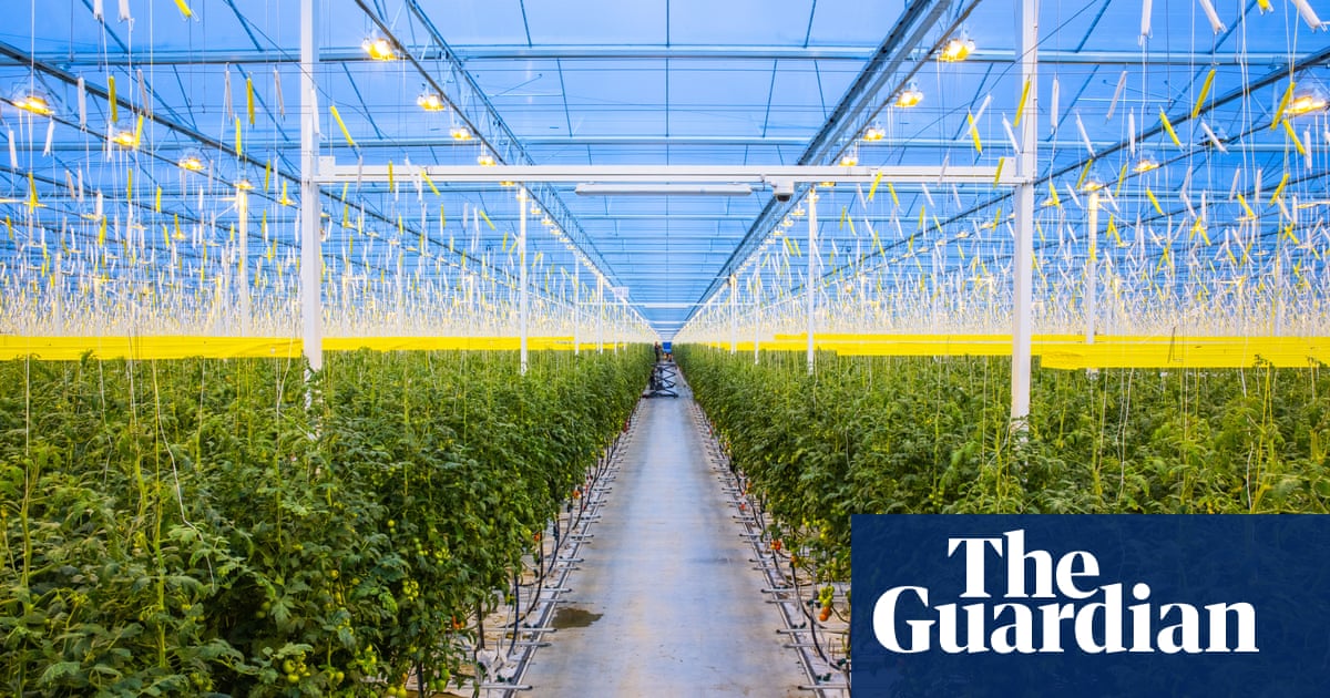 Bigger Than The O2 Giant Greenhouses To Grow 20 Tonnes Of