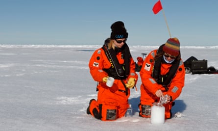 Researchers from the icebreaker Polarstern collect snow samples from the Arctic sea ice.