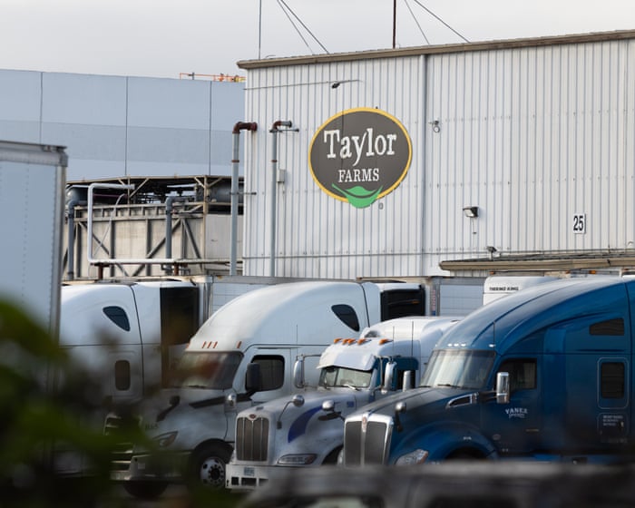 FDA says review of Taylor Farms lettuce shows cyclospora finding was false positive