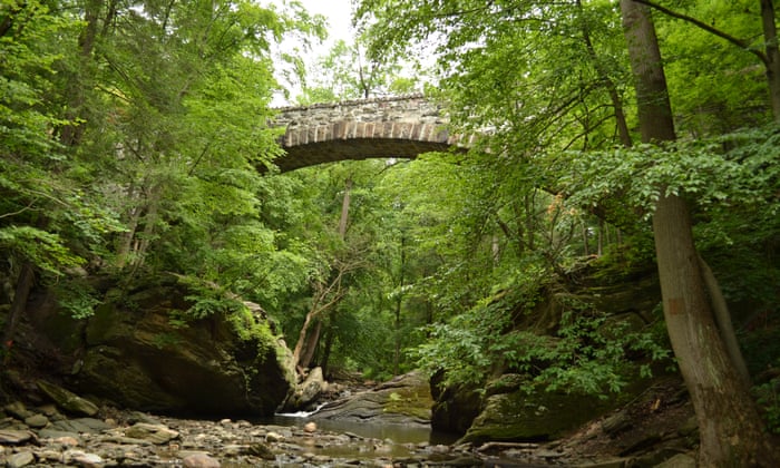 A Historic Natural Pool Was Trashed Could Filling It With Rocks Save It Philadelphia The Guardian