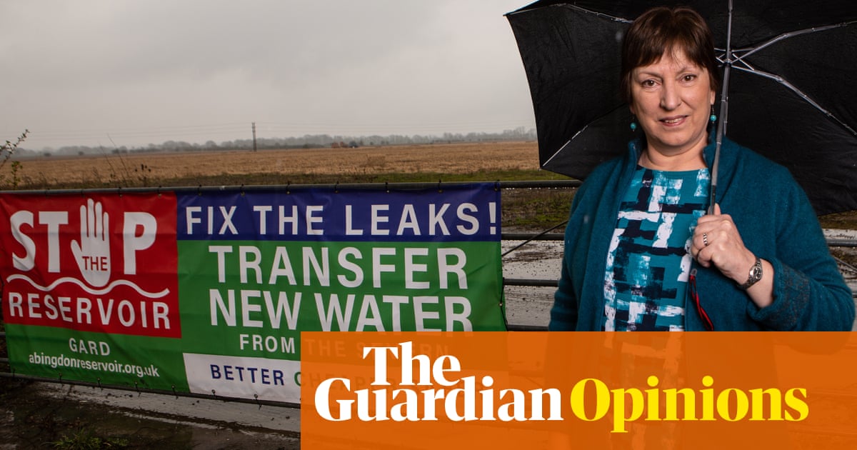 Thames Water court case shows there are alternatives to massive infrastructure | Phillip Inman Thames Water court case shows there are alternatives to massive infrastructure | Phillip Inman
