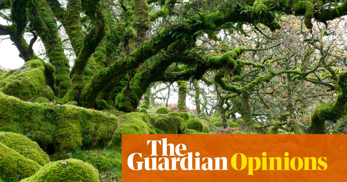 This is how our 21st-century peasant's revolt took on the royals over rewilding  – and won | Joel Scott-Halkes