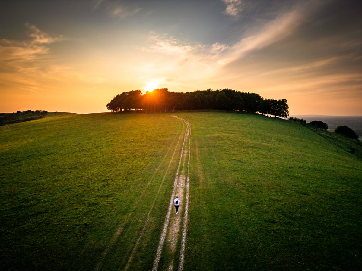 Aerial drone shot of a walker at sunset approaching the circle of trees known as Chanctonbury Ring on the South Downs in West Sussex.