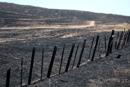 A sparse-looking metal fence bisecting a dusty, completely flat landscape, just flat dirt.