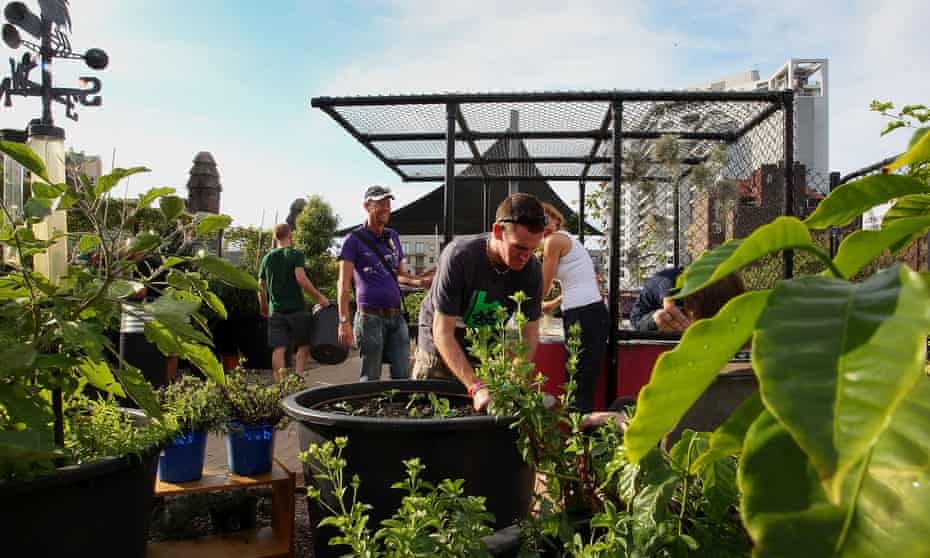 Volunteers and visitors work together in the communal rooftop garden at Wayside Chapel, Sydney