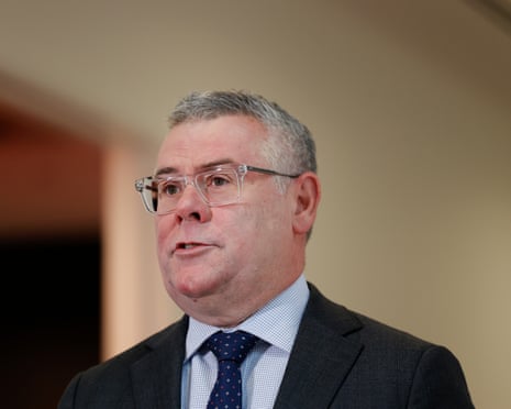 Minister for the Environment Murray Watt speaks to the media at Parliament House in Canberra.