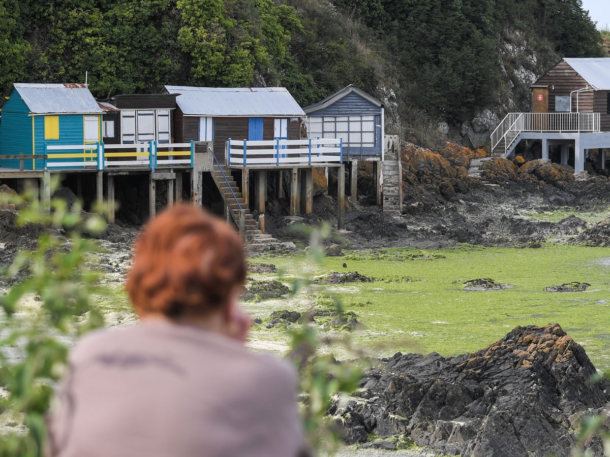 It Can Kill You In Seconds The Deadly Algae On Brittany S Beaches Pollution The Guardian It Can Kill You In Seconds The Deadly Algae On Brittany S Beaches Pollution The Guardian