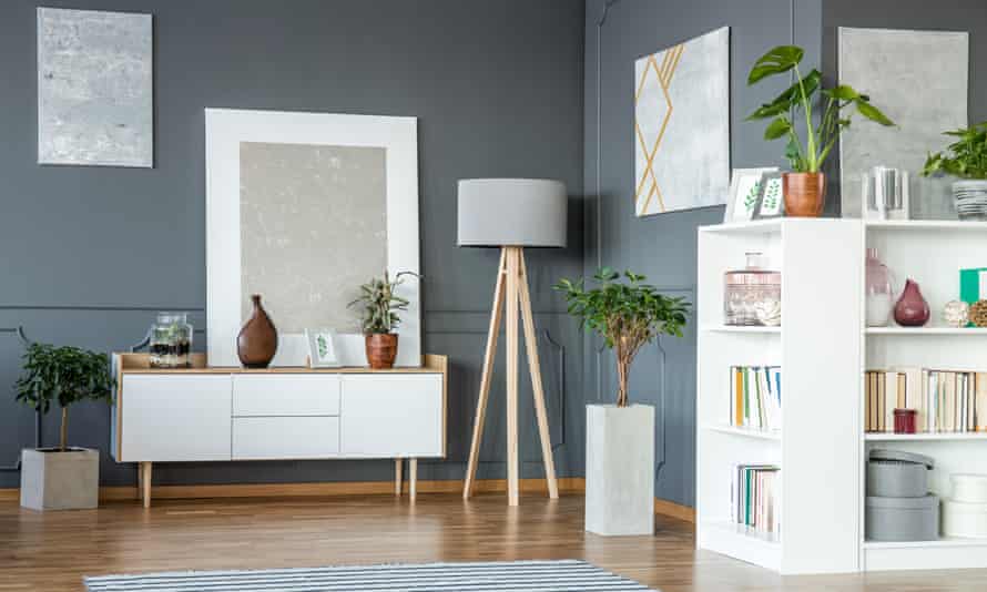 Living room with plants, paintings on the walls and carpet.