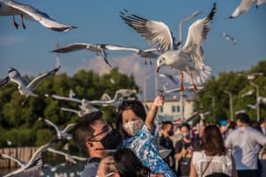 A girl seen feeding seagulls