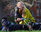 Green MP: Labour caricatures working-class people over greyhound racing