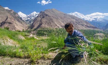 A man tends a vegetable plot in the Karakoram range.