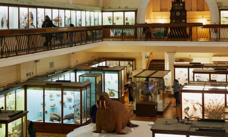 Flora and fauna exhibits in Horniman museum