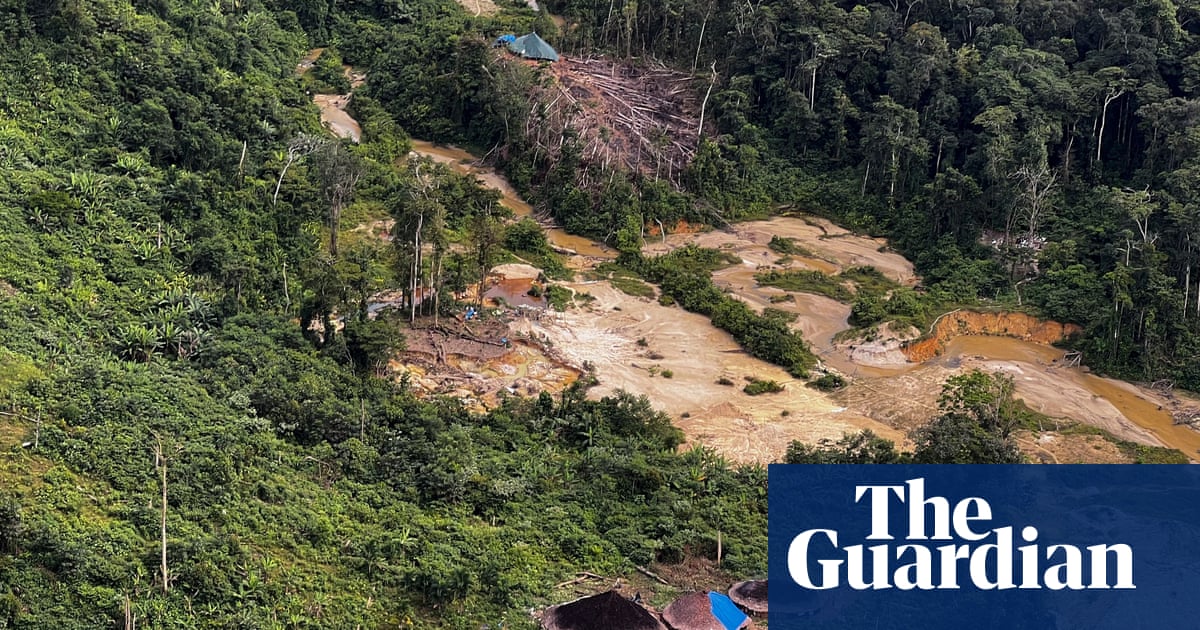 Активистът Дейви Копенава казва че миньорите се завръщат след като