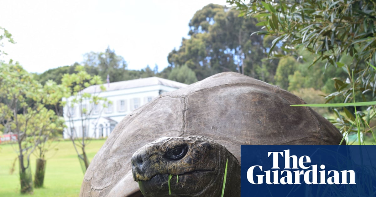 World's Oldest Tortoise Survives Crypto Death Hoax