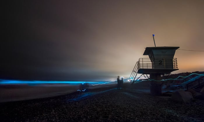 Olas bioluminiscentes convierten el océano en un eléctrico azul neón en las playas de California Incredible' bioluminescence gives California coastline an eerie ...