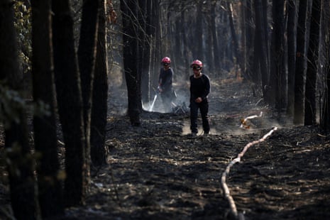 Two firefighters with a water hose in a scorched forest.