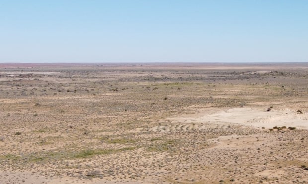Genyornis newtoni once roamed Australia’s interior, before a change in climate turned lakes and forests into flat desert