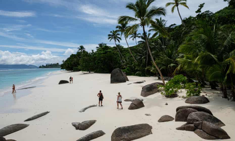 palm tree-lined beach in  seychelles