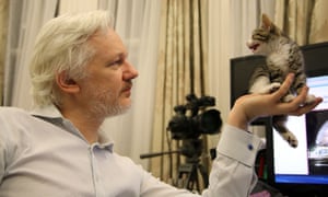 Julian Assange sits with a kitten, inside the Embassy of Ecuador in London.