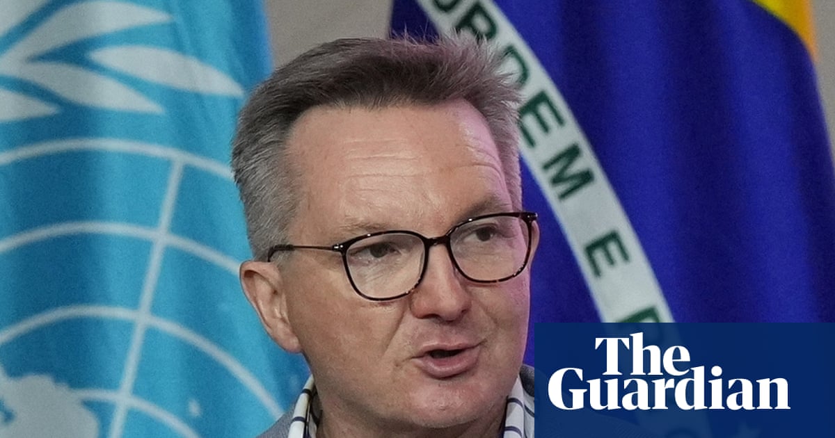 ‘Culture cringe’: experts dismiss Coalition claims Chris Bowen cannot remain minister while leading Cop31 negotiations