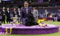 Sage, a miniature poodle from Houston handled by Kaz Hosaka, took top honors at the Westminster dog show on Tuesday night.