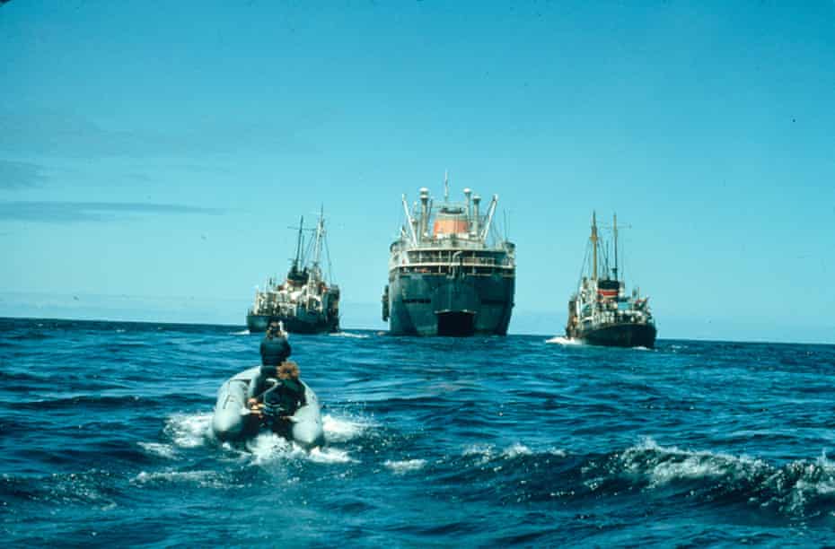 Russian Whaling Fleet in North Pacific